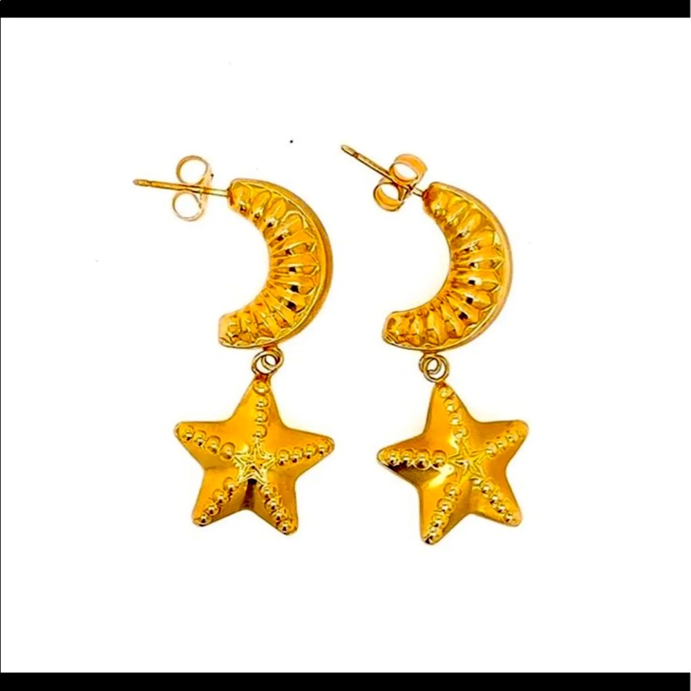 14kt MOON & STAR earrings